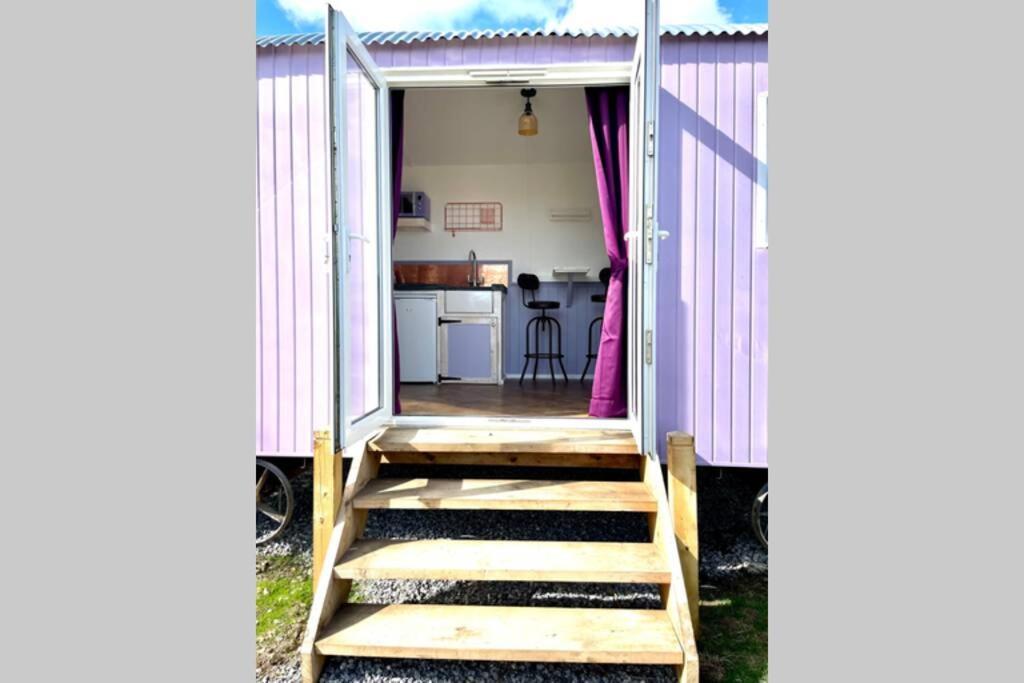 Lilac Tree Hut Tenby Luaran gambar